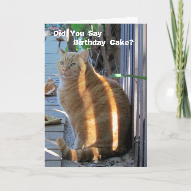 Tarjeta Fat Cat Birthday Card - ¡Vamos Fiesta! (Anverso)