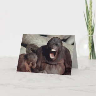 Tarjeta Fauna fijada - primates 1
