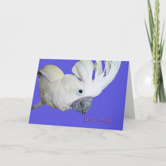 Tarjeta Favorito (Anverso)