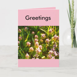 Tarjeta Favoritos de saludo de primavera