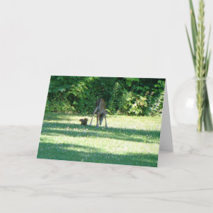 Tarjeta Fawn Squirrel Friends