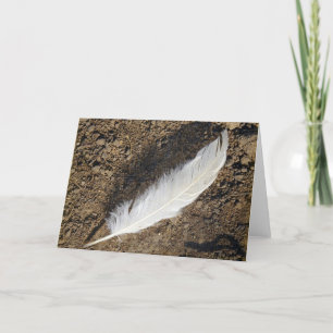 Tarjeta Feather
