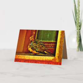 Tarjeta Feathery Dove