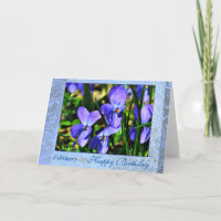 Febrero Hermosas Violetas Azul Cumpleaños