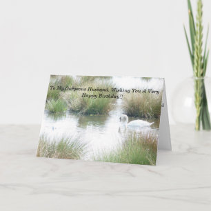 Tarjeta Felices cumpleaños de los esposos Swans