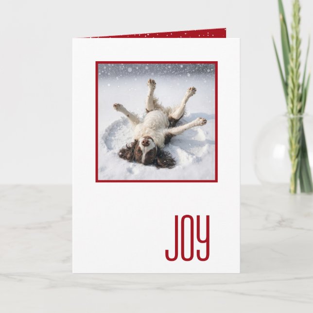 Tarjeta Felices Fiestas English Spring Spaniel (Anverso)