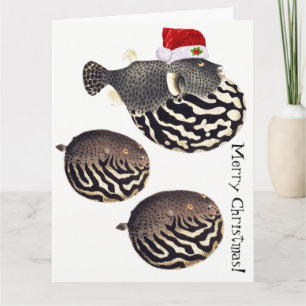Tarjeta ¡Felices Navidad de Santa de los pescados del