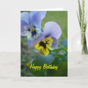 Tarjeta Felices Pansies de Cumpleaños