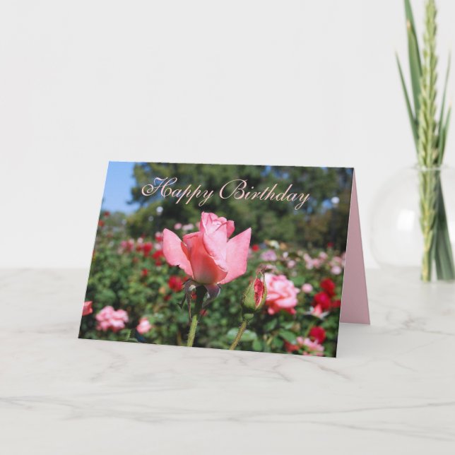 Tarjeta Felices rosas rosas de cumpleaños en el jardín (Anverso)