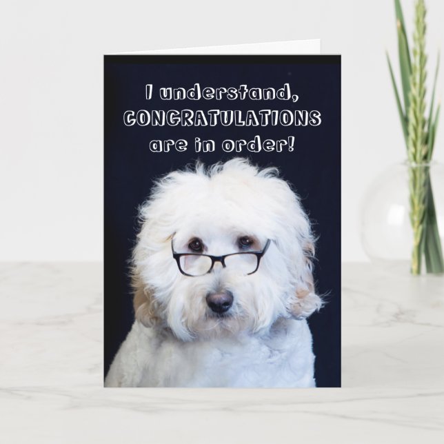 TARJETA FELICIDADES - HUMOR CON PERRO/VIDRIO NEGRO-RIM (Anverso)