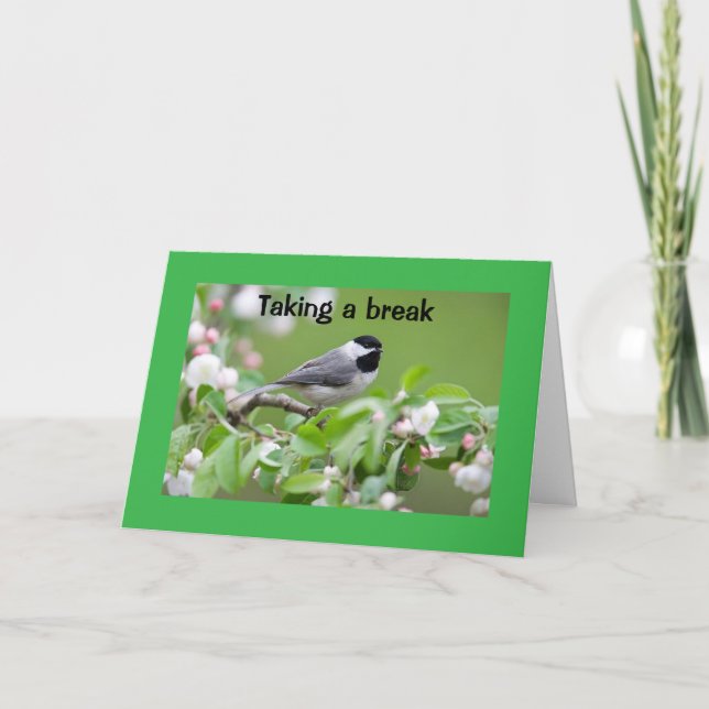 TARJETA **FELICIDADES PARA TI!!!!!** (Anverso)