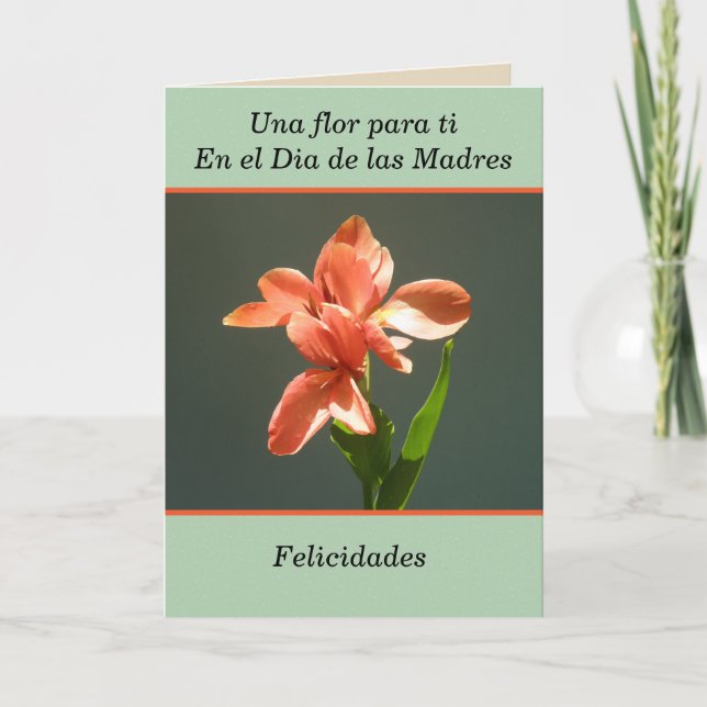 Tarjeta Felicidades para ti en el dia de las madres (Anverso)