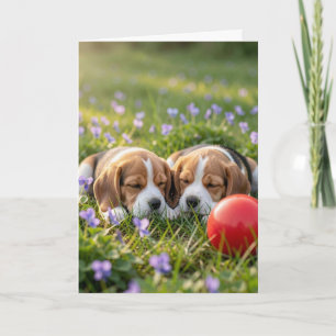 Tarjeta Felicidades por Dos Nuevos Cachorros de Beagle Bie