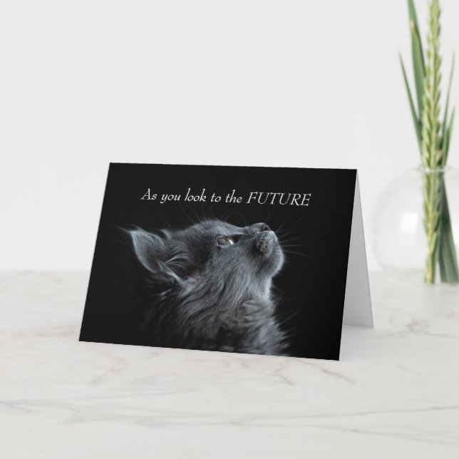Tarjeta Felicidades por la graduación de un gato aburrido (Anverso)