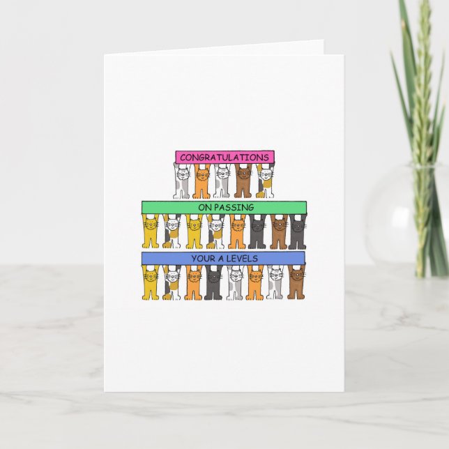 Tarjeta Felicidades por superar tus niveles de A (Anverso)