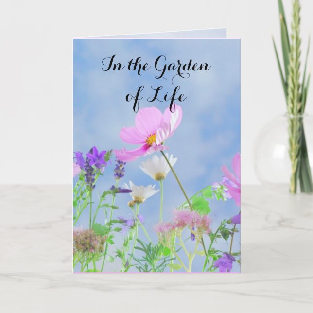 Tarjeta Felicidades por tu divorcio (Anverso)