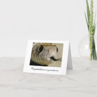 Felicidades por tu divorcio...