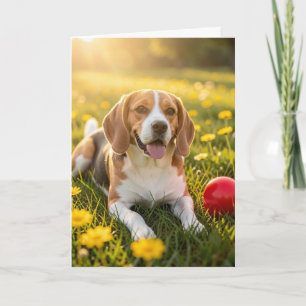 Tarjeta Felicidades por tu nuevo Beagle