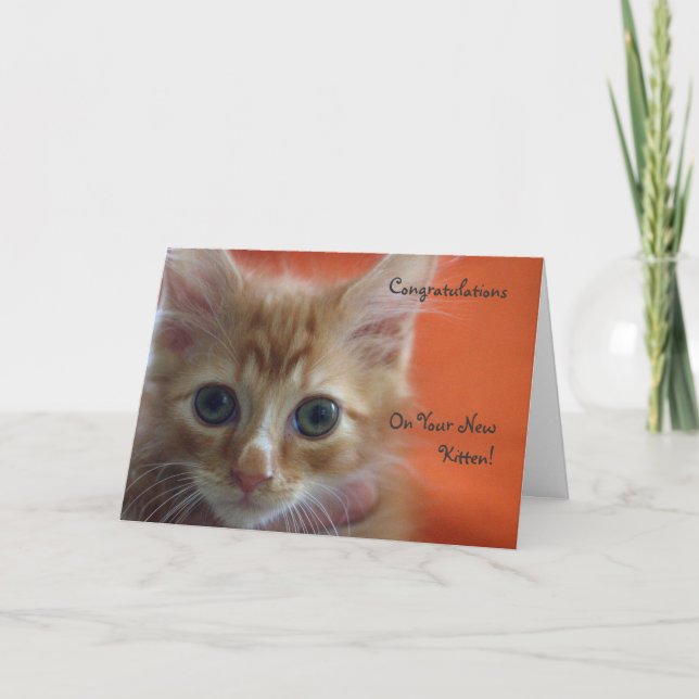 Tarjeta Felicidades por tu nuevo gatito (Anverso)
