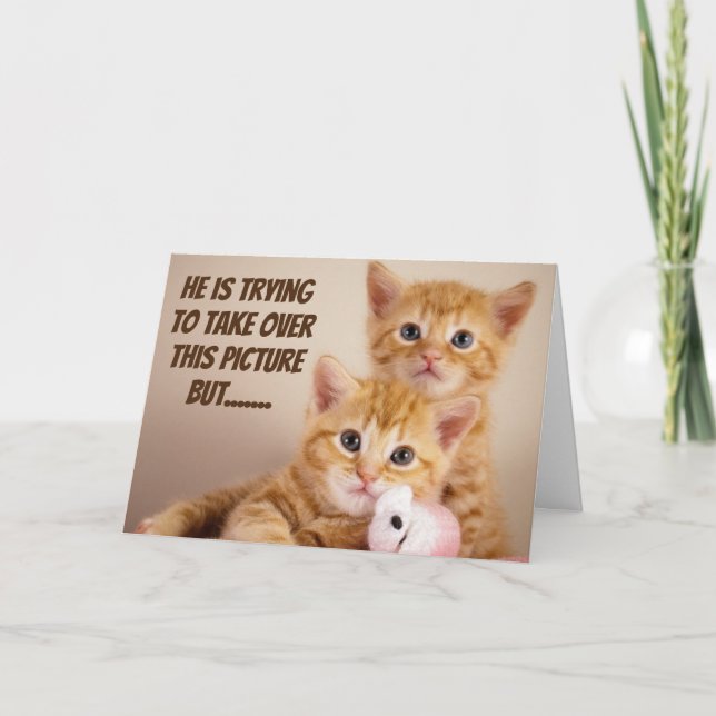 TARJETA FELICIDADES POR TU "NUEVO HOGAR" DE LOS GATITOS (Anverso)