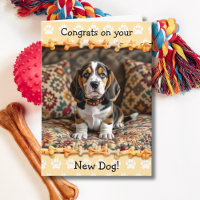 Felicidades por tu nuevo perro Basset Hound