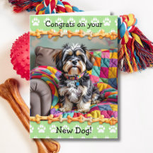 Felicidades por tu nuevo perro Lhaso Apso