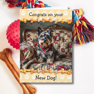 Tarjeta Felicidades por tu nuevo perro Terrier Escocés 