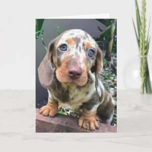 TARJETA *FELICIDADES POR TU NUEVO TRABAJO/TE EXTRAÑARÉ*