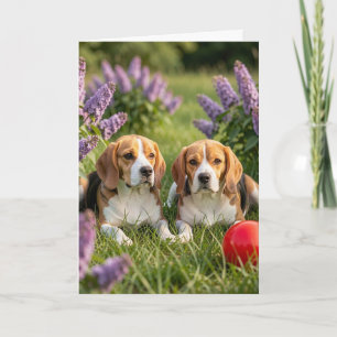 Tarjeta Felicidades por tus nuevos beagles Felicitacione