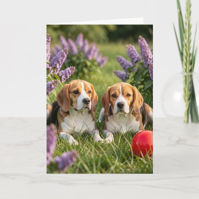 Tarjeta Felicidades por tus nuevos beagles | Felicitacione (Anverso)
