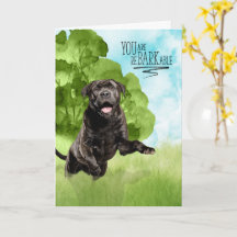 Felicidades reBARKable Perro Cane Corso