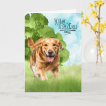 Felicidades reBARKable Perro Retriever Dorado