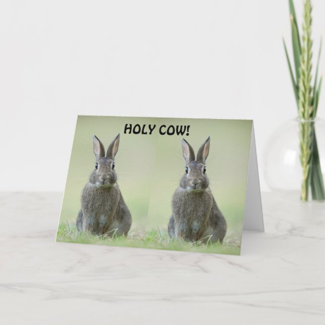 TARJETA **FELICITACIÓN AL GRADUADO DE LA UNIVERSIDAD** (Anverso)