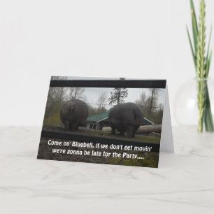 Tarjeta Felicitación divertida de cumpleaños para hipopóta