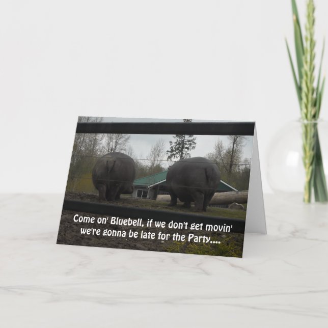 Tarjeta Felicitación divertida de cumpleaños para hipopóta (Anverso)