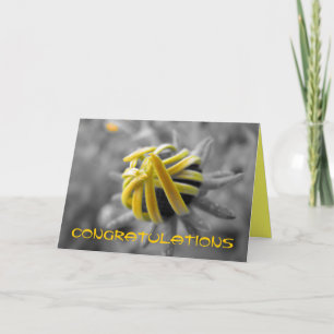 Tarjeta Felicitaciones