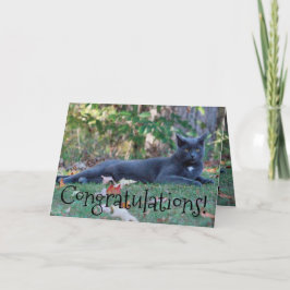 Tarjeta Felicitaciones a Kitty Cat