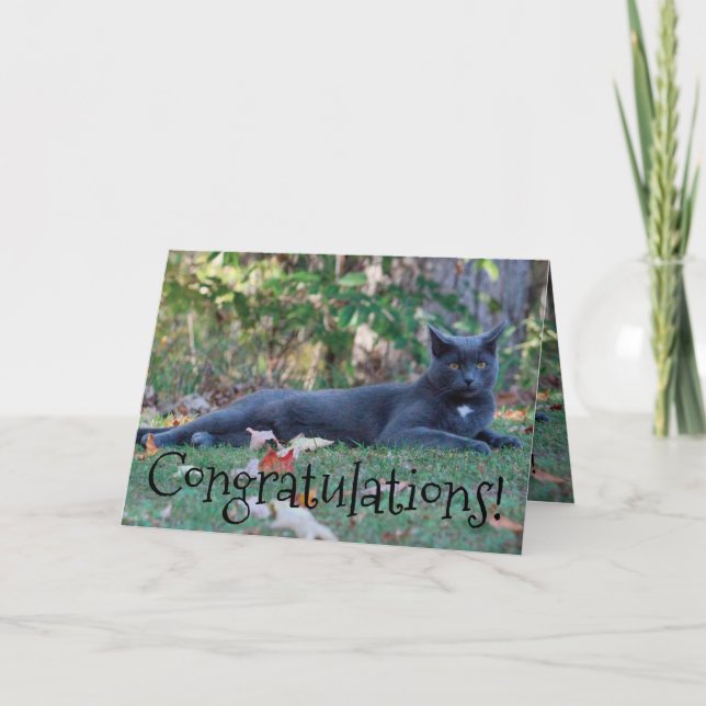 Tarjeta Felicitaciones a Kitty Cat (Anverso)