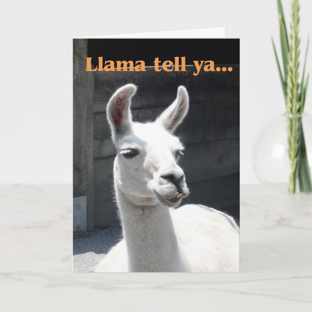 Tarjeta Felicitaciones a la promoción - Llama (Anverso)
