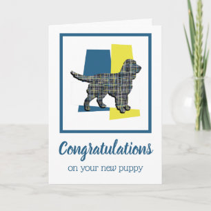 Tarjeta Felicitaciones a Sprocker Spaniel Dog Puppy