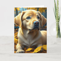 Felicitaciones a tu nuevo perro de cachorros