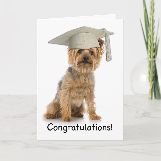 Tarjeta Felicitaciones a Yorkie de Graduación (Anverso)