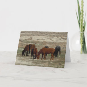 Tarjeta Felicitaciones al nuevo graduado de veterinaria: D