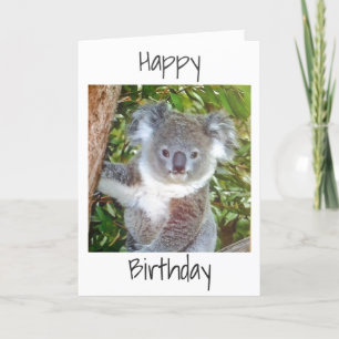 TARJETA "FELICITACIONES DE CUMPLEAÑOS KOALA"