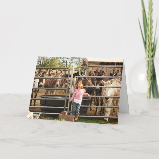 Tarjeta Felicitaciones escuetas por graduación de DVM (Anverso)