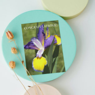 Tarjeta Felicitaciones Florales de Iris Purpura y Amarillo