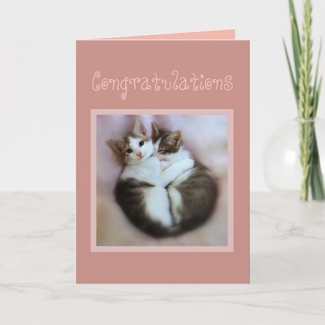 Tarjeta Felicitaciones gatitos enamorados (Anverso)