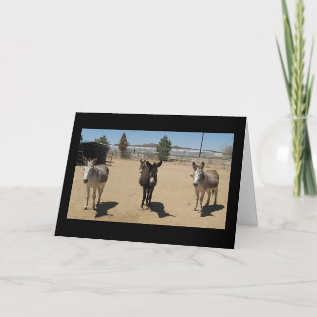 Tarjeta Felicitaciones Graduado Veterinario - Rancho Granj (Anverso)