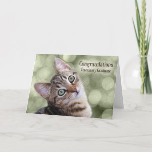Tarjeta Felicitaciones Graduado Veterinario Tabby Kitten