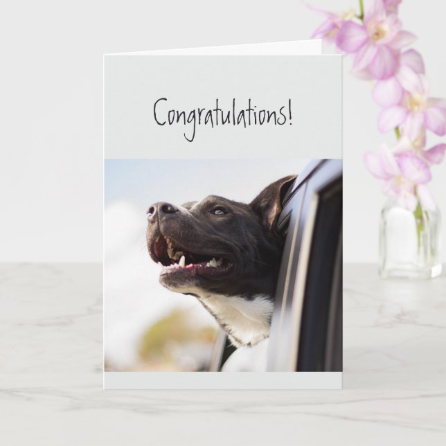 Tarjeta Felicitaciones no podría ser un perro divertido (Orquídea)